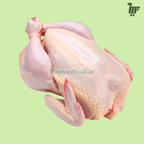 Ayam Utuh 600-700gr